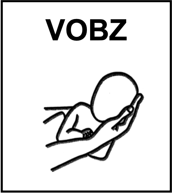 VOBZ logo